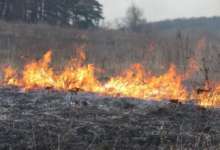 В Карталинском районе горел лес
